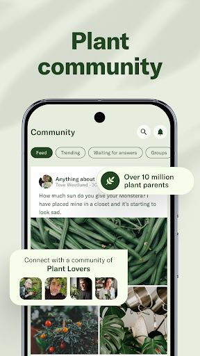 Planta: AI Plant & Garden Care