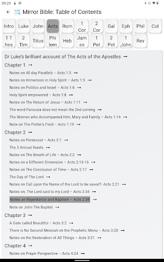 Mirror Study Bible