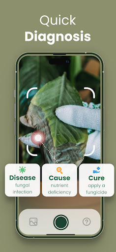 Plantify: AI Plant Identifier