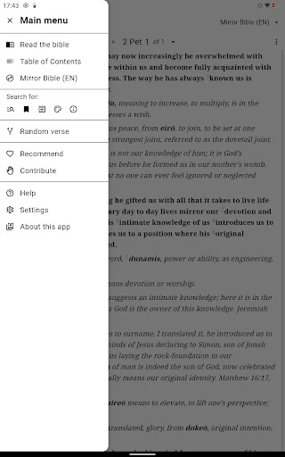 Mirror Study Bible