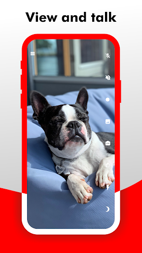 Camy — Live Video CCTV