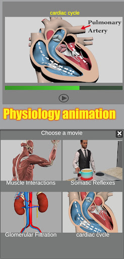 3D Anatomy