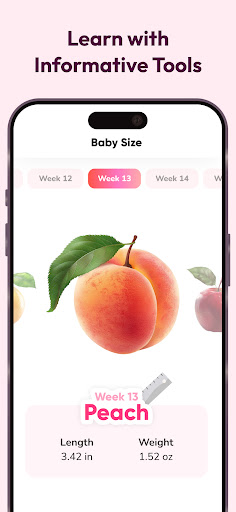 WeMoms Pregnancy Baby Tracker