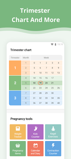 Pregnancy App