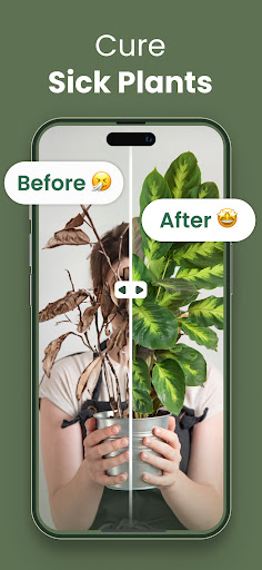 Plantify: AI Plant Identifier