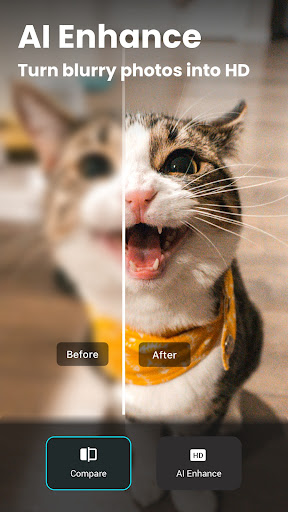 AI Photo Editor - Lumii