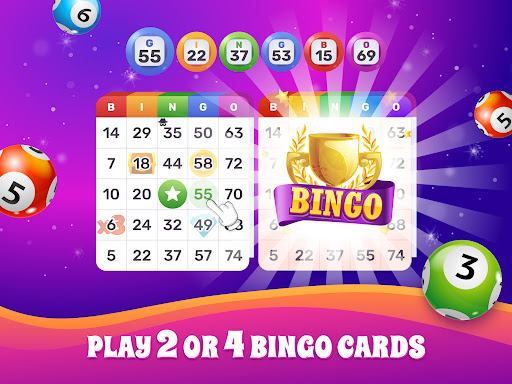 Bingo Lotto: Win Lucky Number