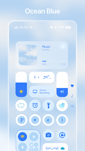 Quick Control Widgets, Themes