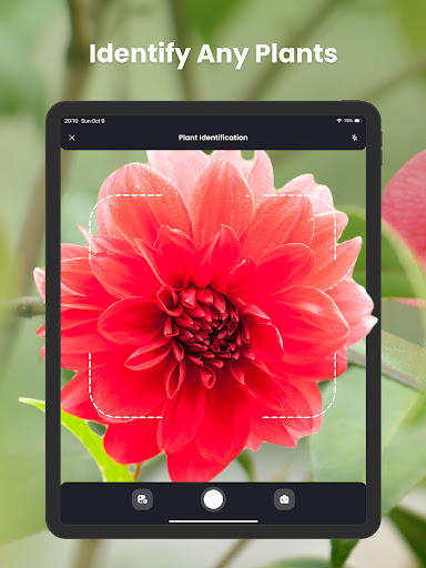 PlantIn Plant Identifier, Care