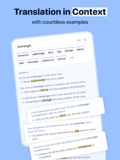 Reverso Translate and Learn