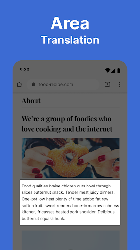 Screen and Photo Translator