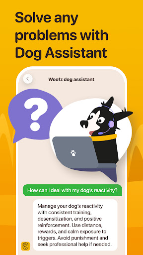 Woofz - Puppy and Dog Training