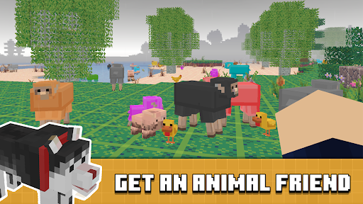 Build Block Craft