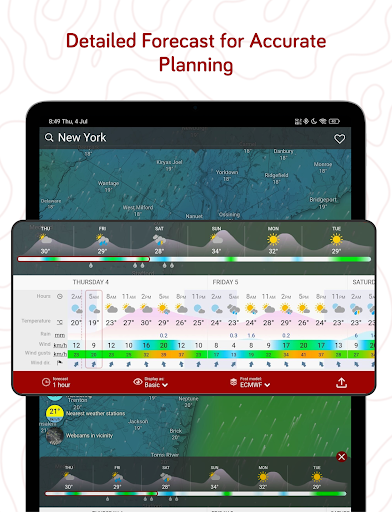 Windy.com - Weather Forecast