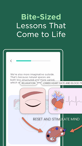 Imprint: Learn Visually