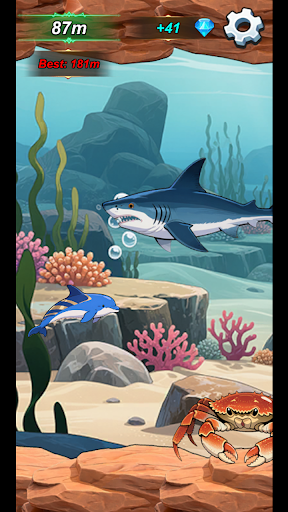 Dolphin Love Story