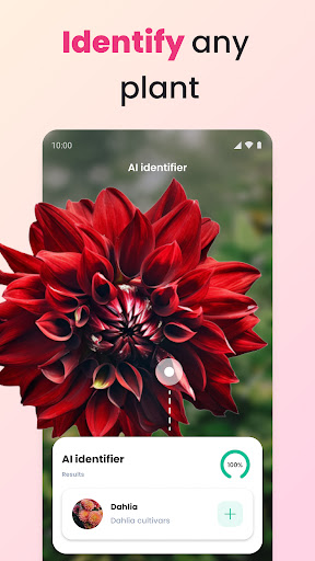 PlantIn Plant Identifier, Care