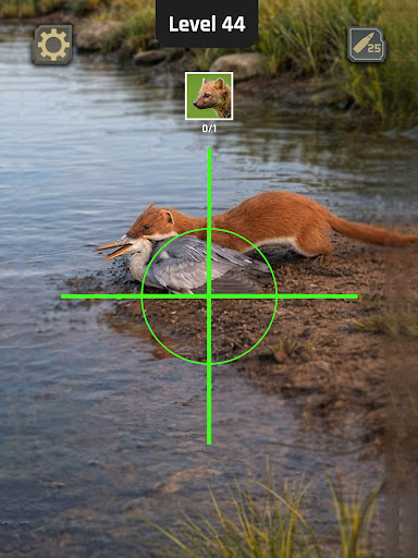 Animal Hunter: Wild Shooting