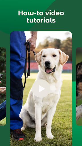 Dogo — Puppy and Dog Training