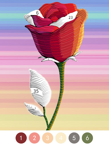 Vivid Color Paint By Number