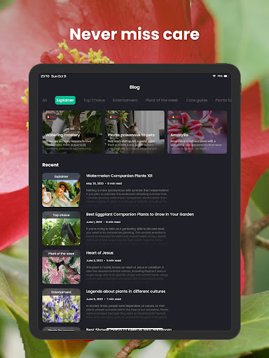 PlantIn Plant Identifier, Care