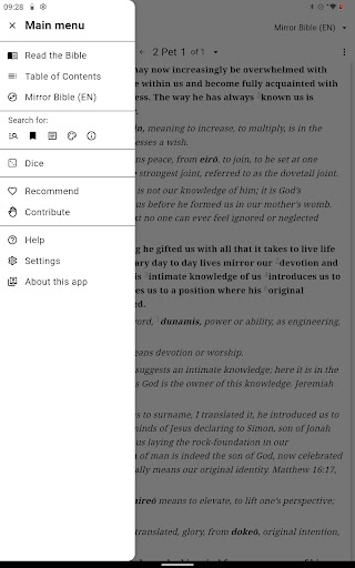 Mirror Study Bible