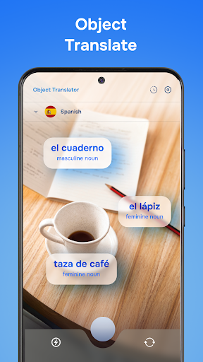 Translateasy Lingual Assistant