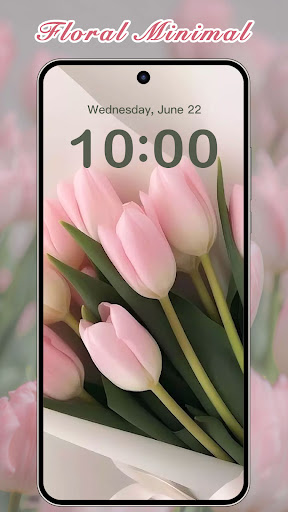 ThemeKit - Themes & Widgets