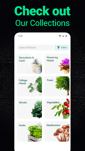 Plantum - Plant Identifier