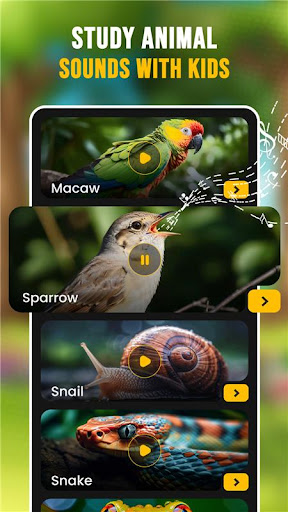 Animal Ringtones