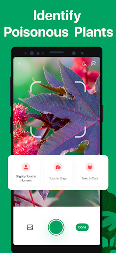 PictureThis - Plant Identifier