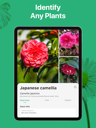 PictureThis - Plant Identifier