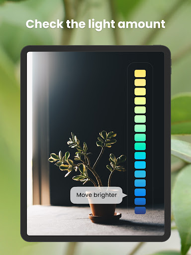 PlantIn Plant Identifier, Care