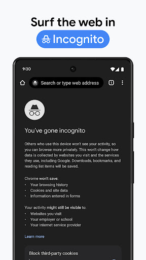 Chrome Dev