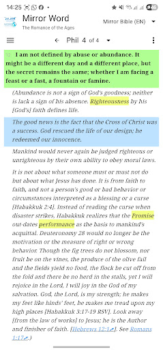 Mirror Study Bible