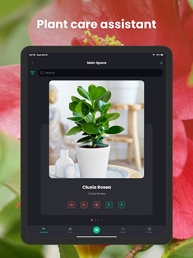 PlantIn Plant Identifier, Care