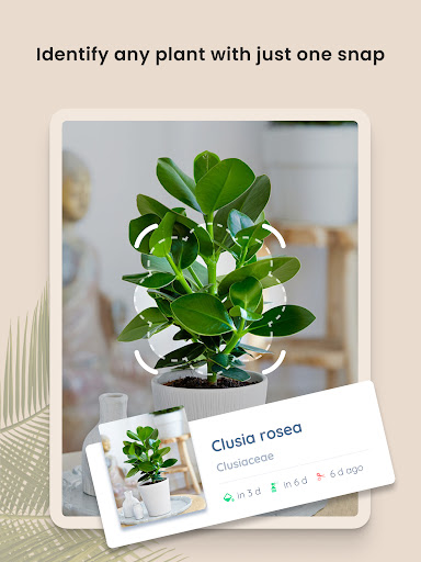 PlantIn Plant Identifier, Care