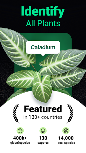 Plantum - Plant Identifier