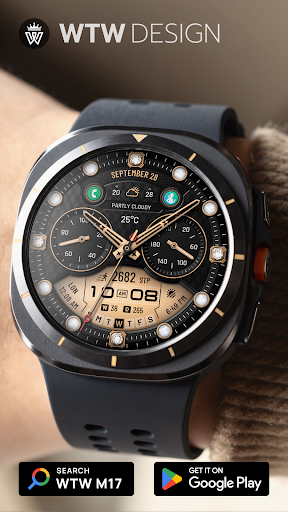 WTW M17 Hybrid Watch Face