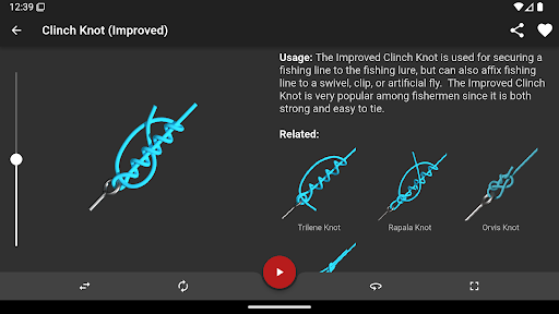 Knots 3D