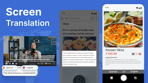 Screen and Photo Translator