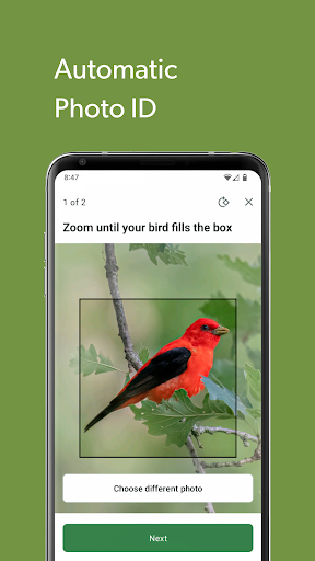 Merlin Bird ID by Cornell Lab