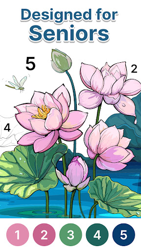 Anima Color - Paint by Number