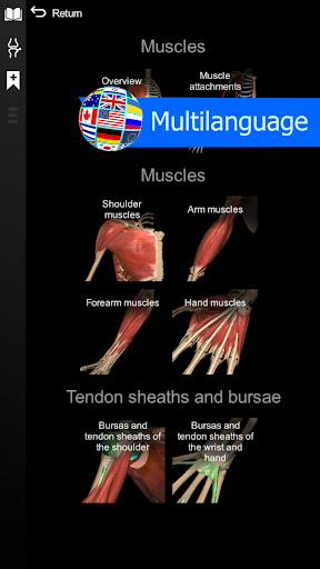 Anatomy Learning By Dr. Blanco