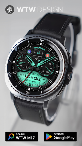 WTW M17 Hybrid Watch Face