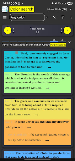 Mirror Study Bible
