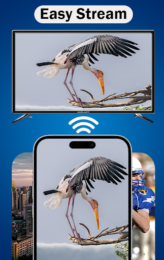 MirrorLink App for Car