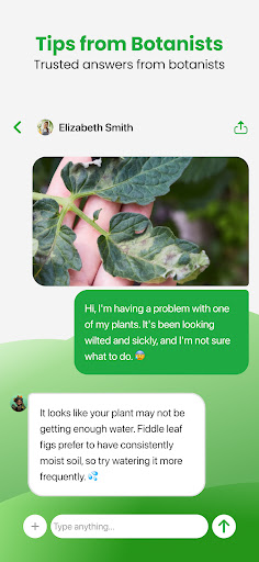 Plant App - Plant Identifier
