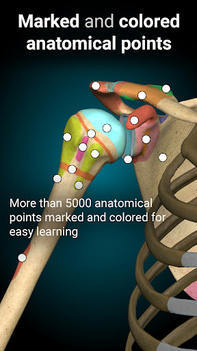 Anatomy Learning By Dr. Blanco