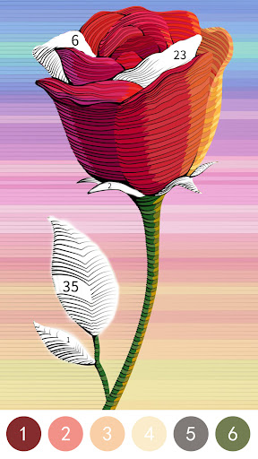 Vivid Color Paint By Number